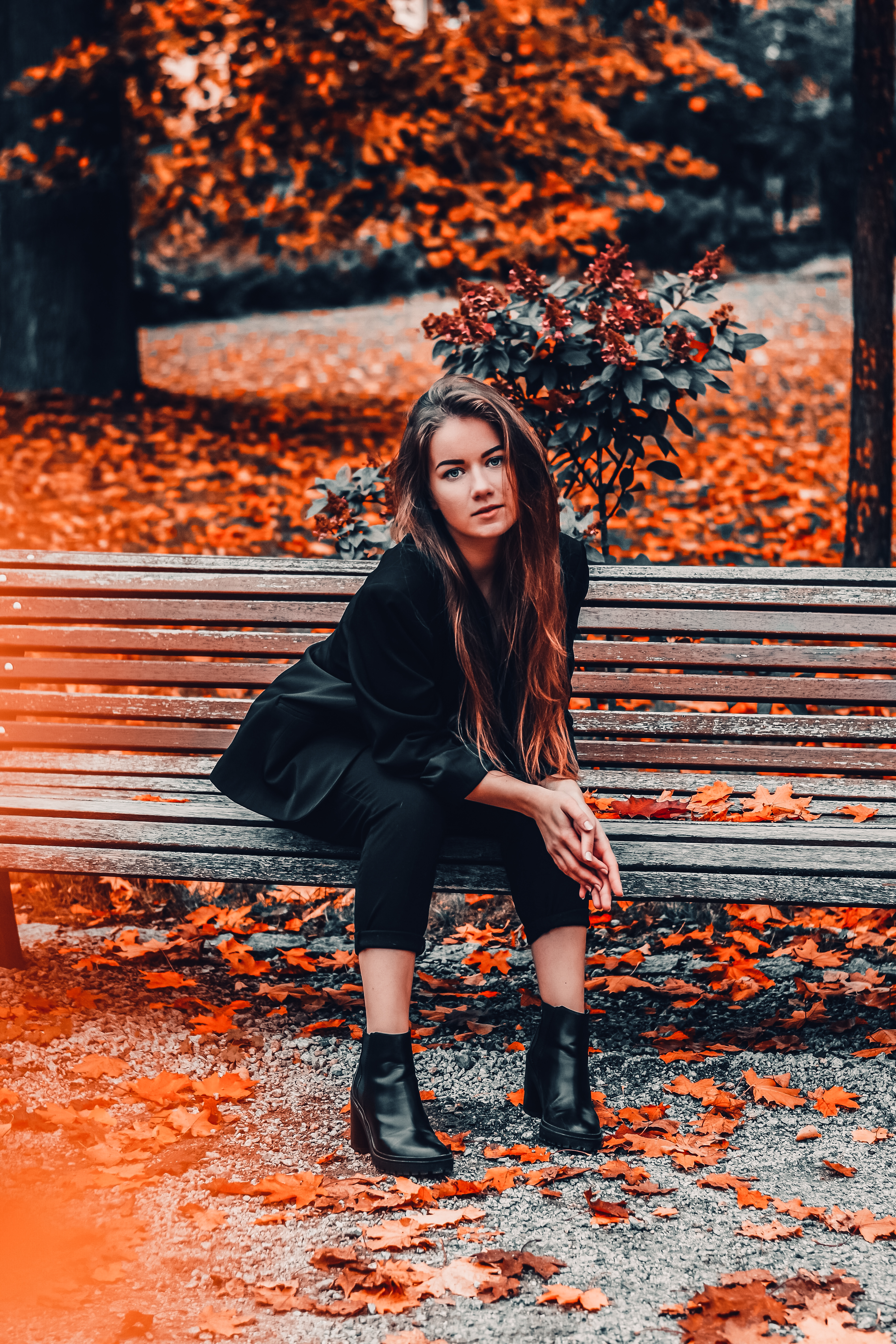 Fall Presets Mobile 1-5
