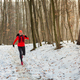 Woman Running Through Woods in Winter. - PhotoDune Item for Sale