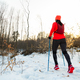 Female Runner Nordic Running Up Snowy Trail in Woods in Winter. - PhotoDune Item for Sale