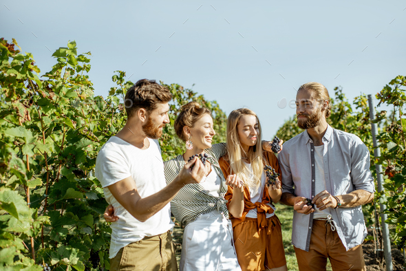 Group of young people on the vineyard