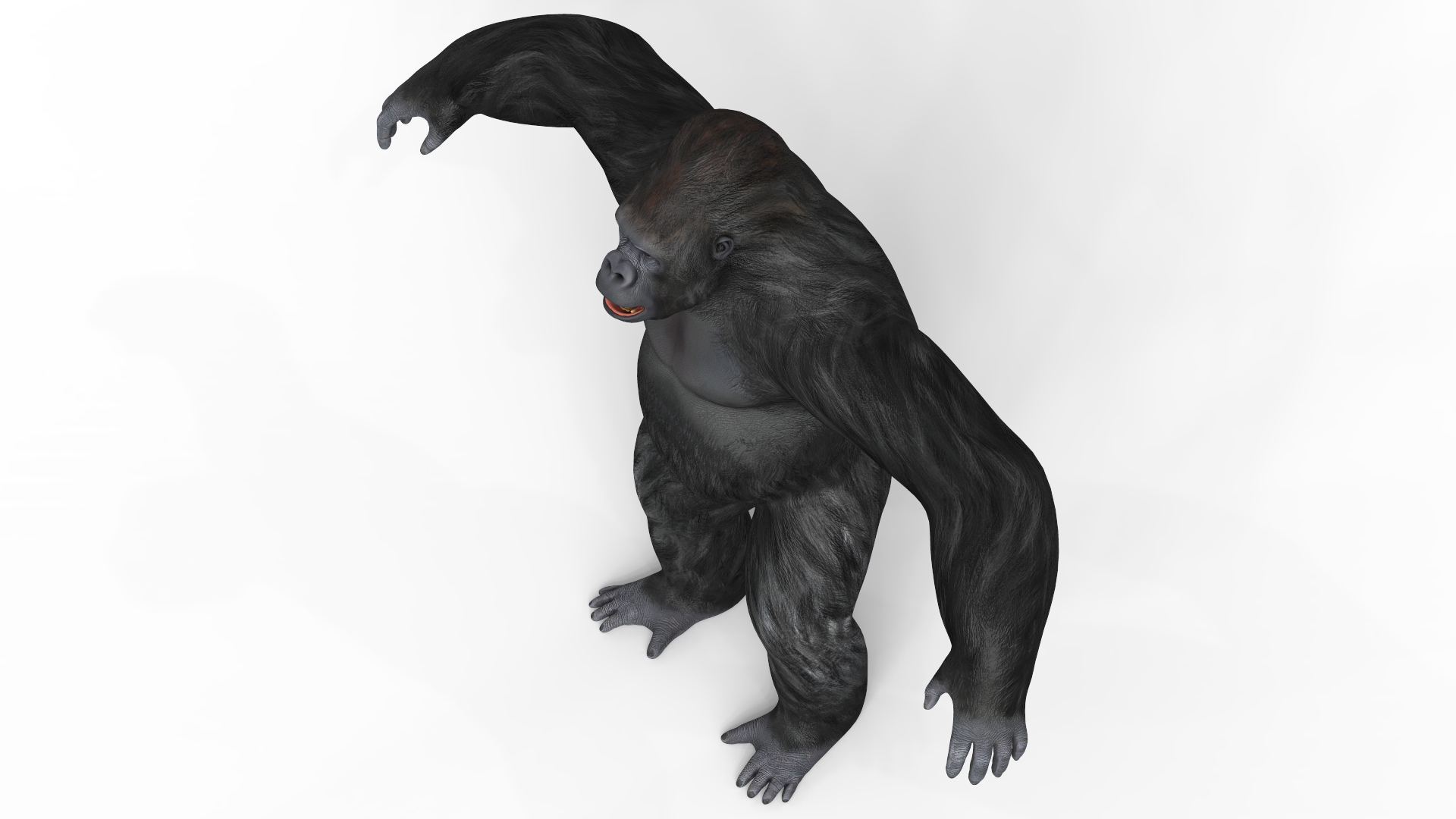 Gorilla With PBR Textures by creativejungle007 | 3DOcean