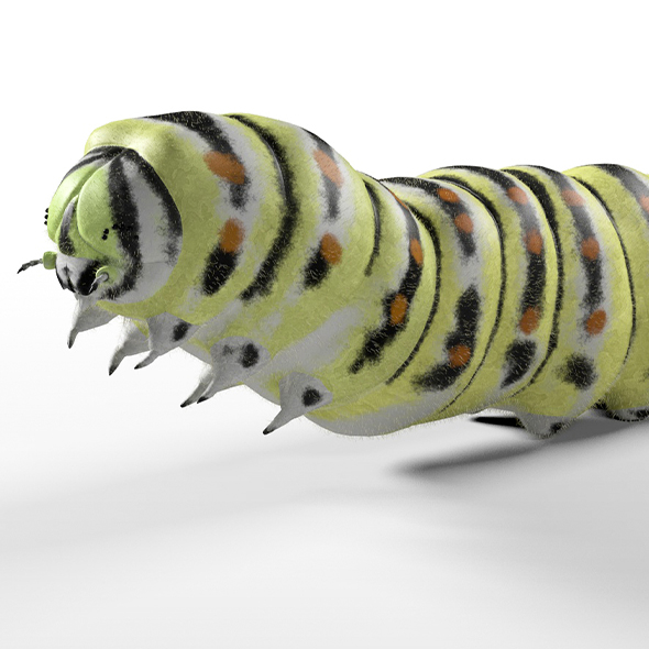 Caterpillar insect 3d - 3Docean 33961609