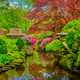 Japanese garden, Park Clingendael, The Hague, Netherlands - PhotoDune Item for Sale