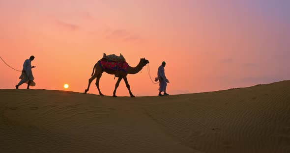 Indian Cameleers (Camel Driver) Bedouin with Camel Silhouettes in Sand Dunes of Thar Desert on alt
