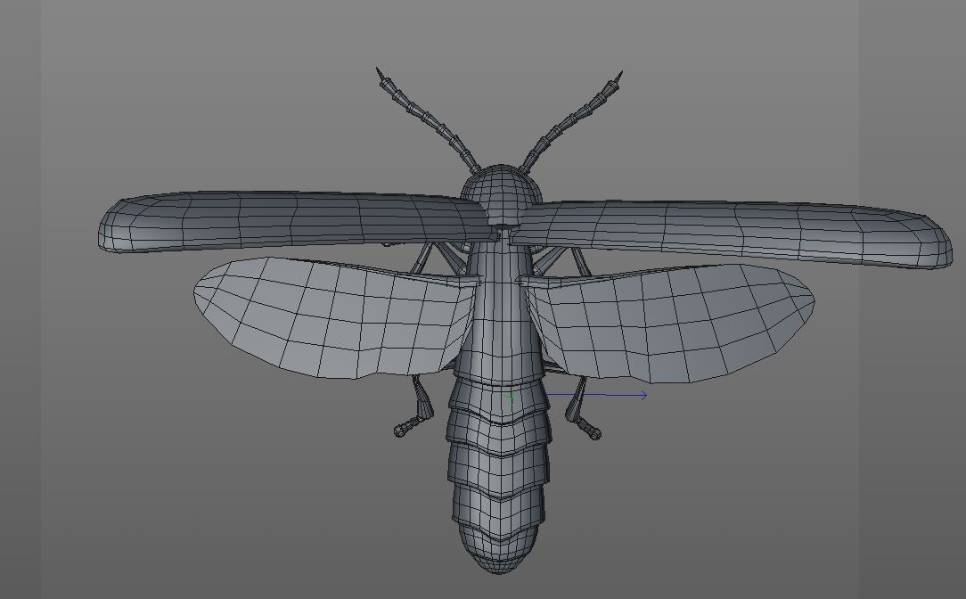 Firefly Insects 3d Model By Turbocg 3docean