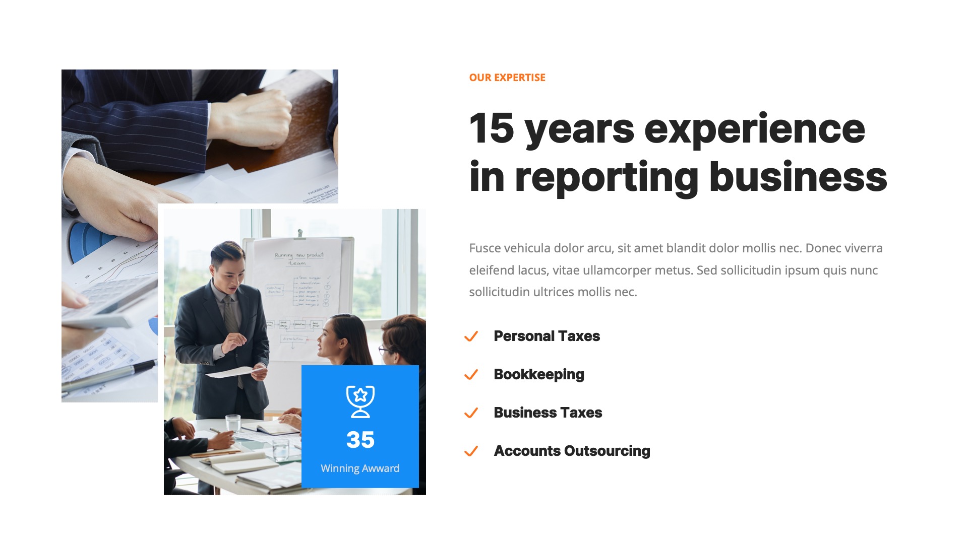 Totalog - Business Report Powerpoint Template, Presentation Templates