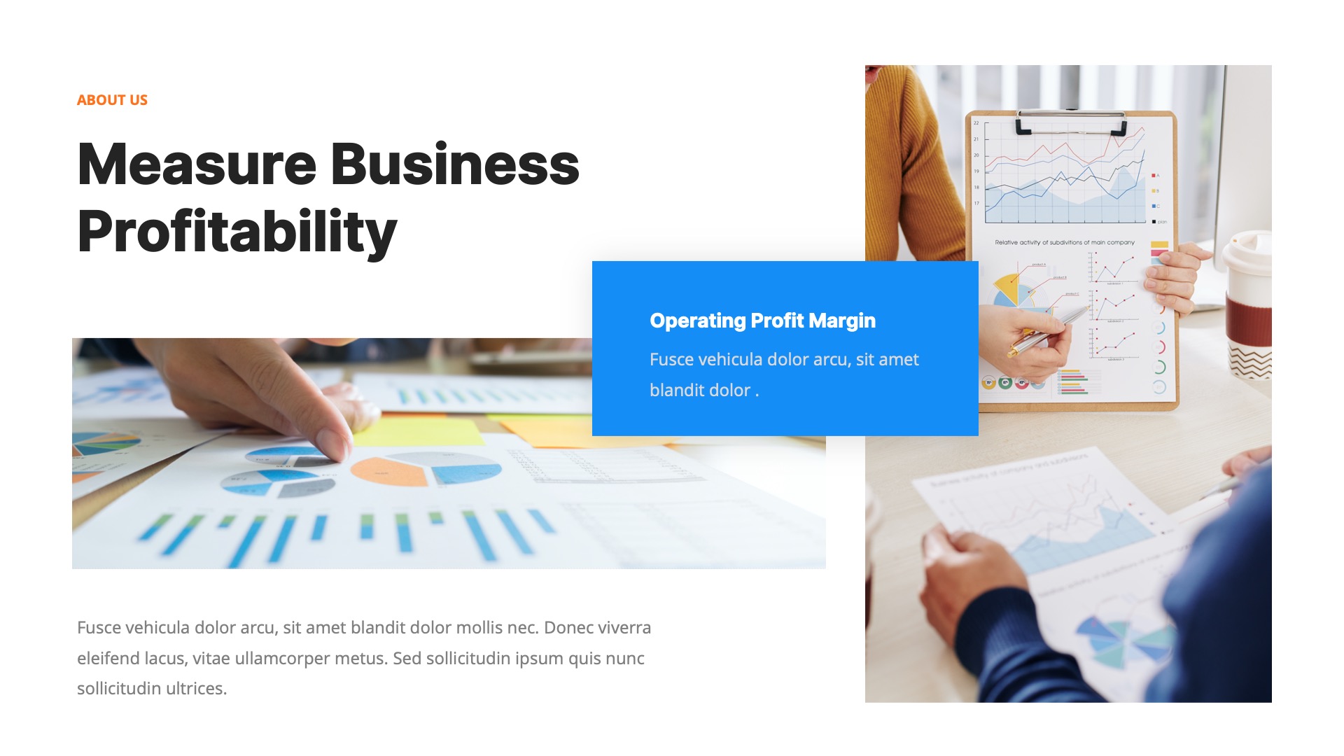 Totalog - Business Report Powerpoint Template, Presentation Templates
