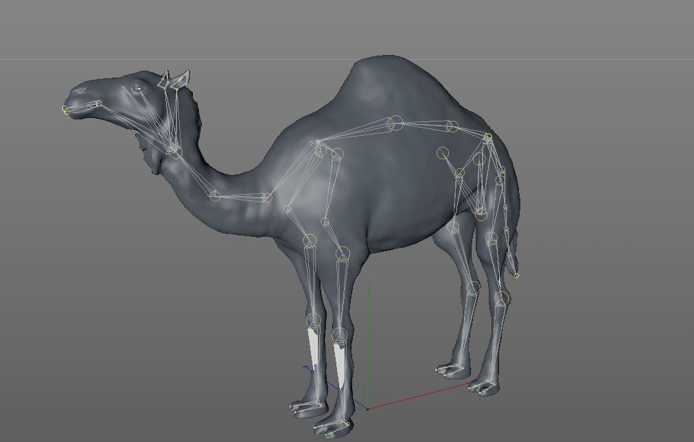 Camel rigged 3d model by TurboCG | 3DOcean