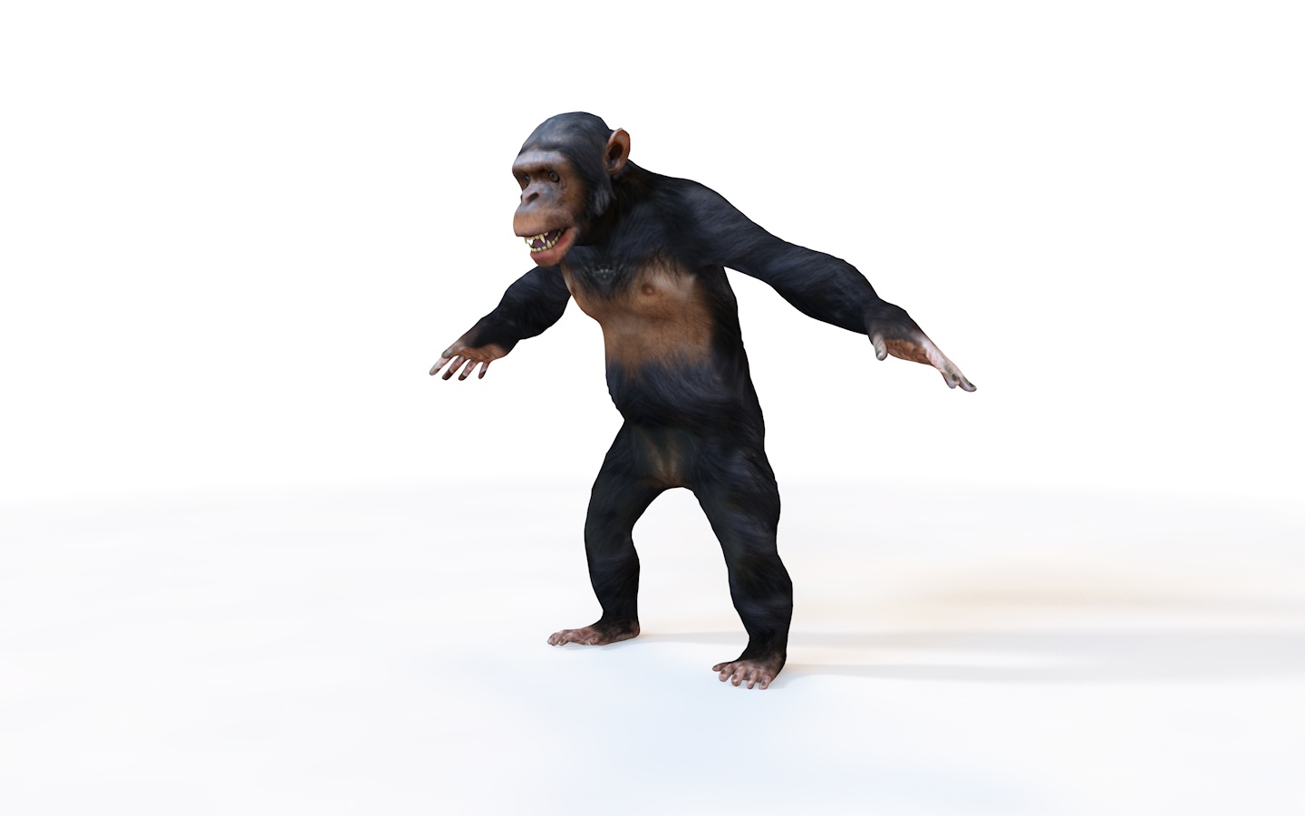 Chimpanzee Rigged 3d Model By TurboCG | 3DOcean