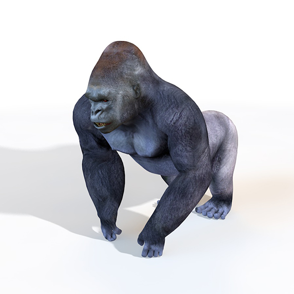 Gorilla rigged 3d - 3Docean 33993030