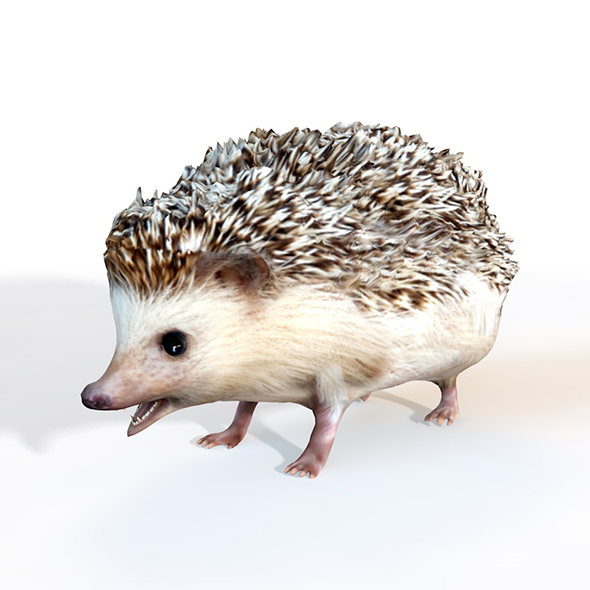 Hedgehog rigged 3d - 3Docean 33993040