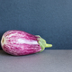 Ripe organic violet aubergine eggplant. - PhotoDune Item for Sale