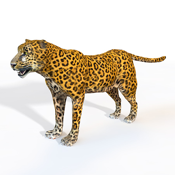 Leopard Rigged 3d - 3Docean 33993414