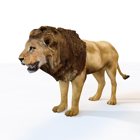 Lion rigged 3d - 3Docean 33993459