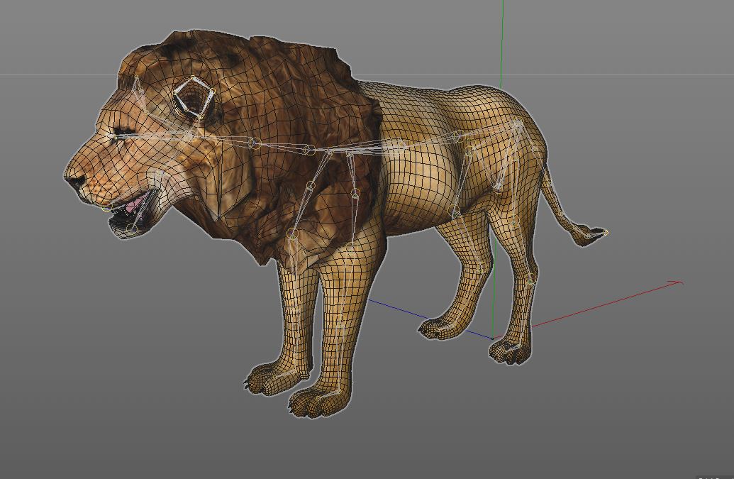 Lion rigged 3d model by TurboCG | 3DOcean