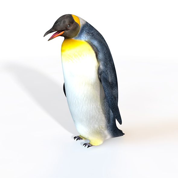 Penguin rigged 3d - 3Docean 33993619