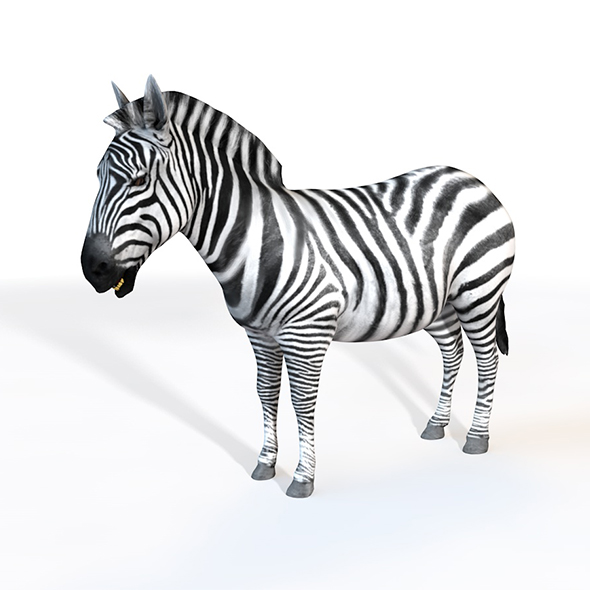 Zebra rigged 3d - 3Docean 33993728