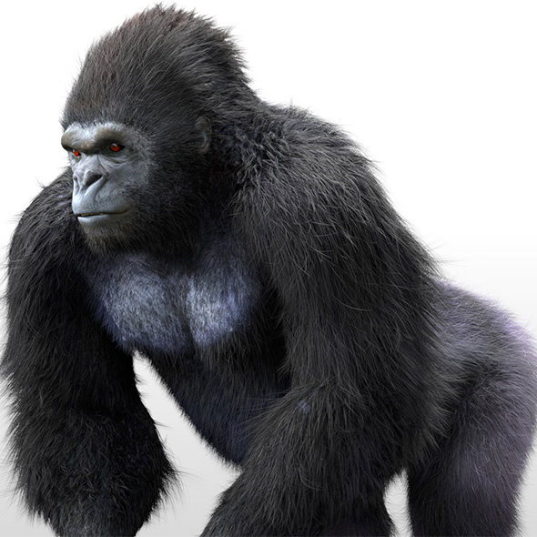 Gorilla hair fur - 3Docean 33994079