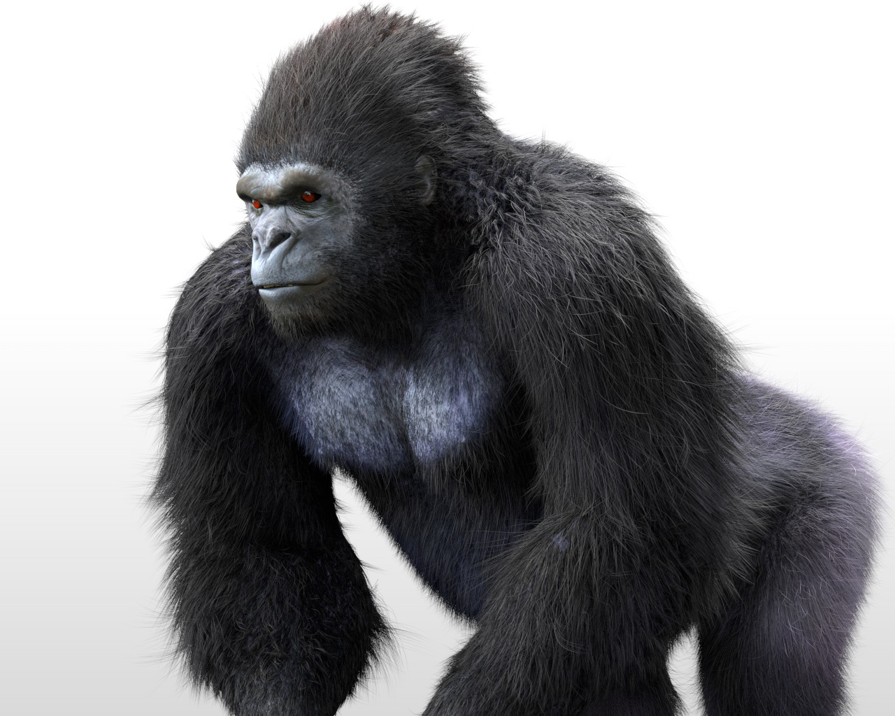 Gorilla hair fur rigged 3d model by TurboCG | 3DOcean