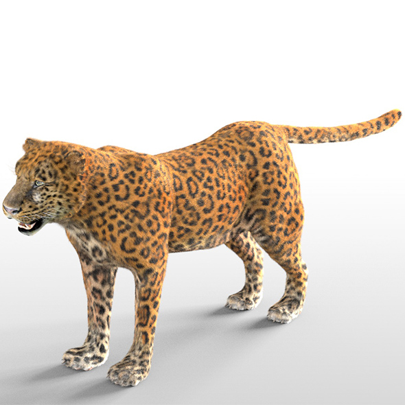 Leopard hair fur - 3Docean 33994127