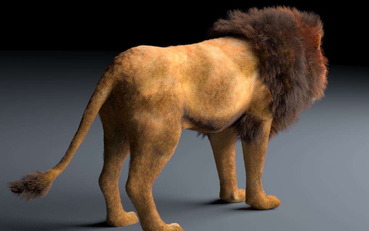 Lion hair fur rigged 3d model by TurboCG | 3DOcean