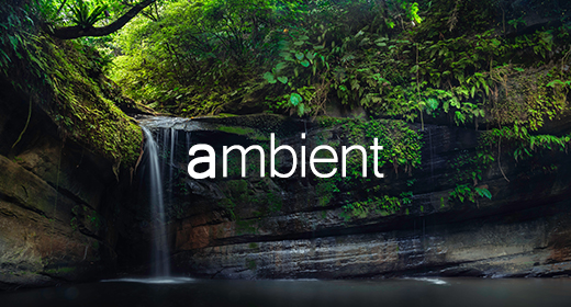 Ambient