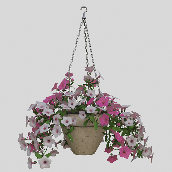 Hanging Flower Petunia - 3Docean 34002940