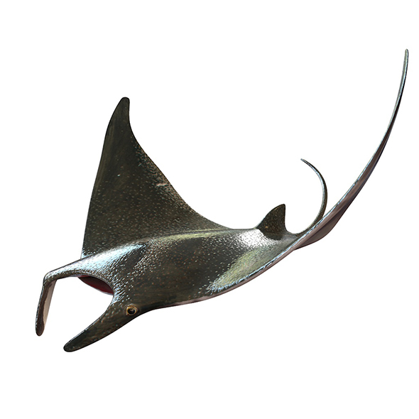 Manta Ray fish - 3Docean 34013875