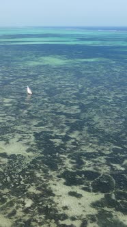 Tanzania  Vertical Video of the Ocean Near the Coast of Zanzibar Slow Motion alt