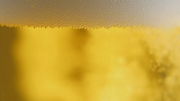 Beer Bubbles