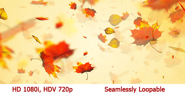 Autumn Leaves -Season Broadcast Background