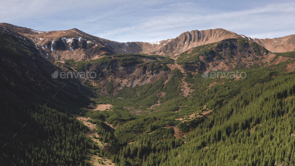 Aerial fir forest at green mountain ridges. Rock mount tops. Nobody nature landscape. Recreation