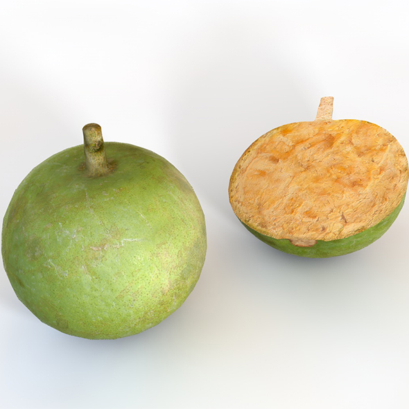 Bael Wood apple - 3Docean 34038491