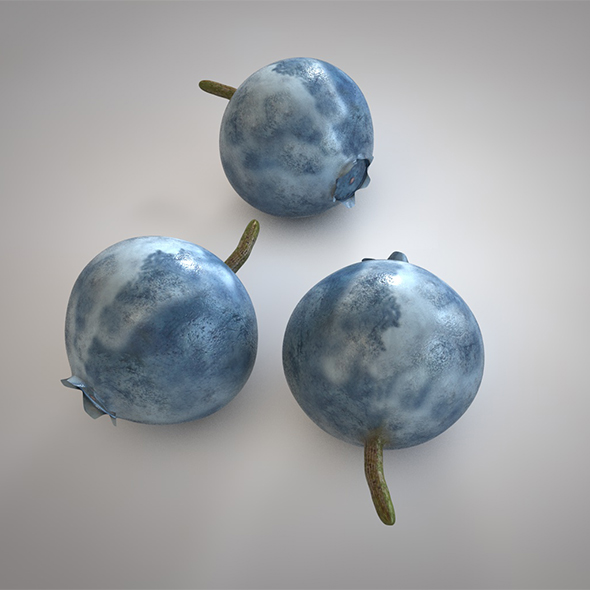 Bilberry 3d model - 3Docean 34038503