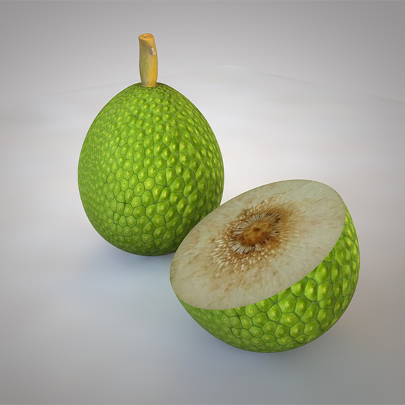 Breadfruit 3d model - 3Docean 34038519