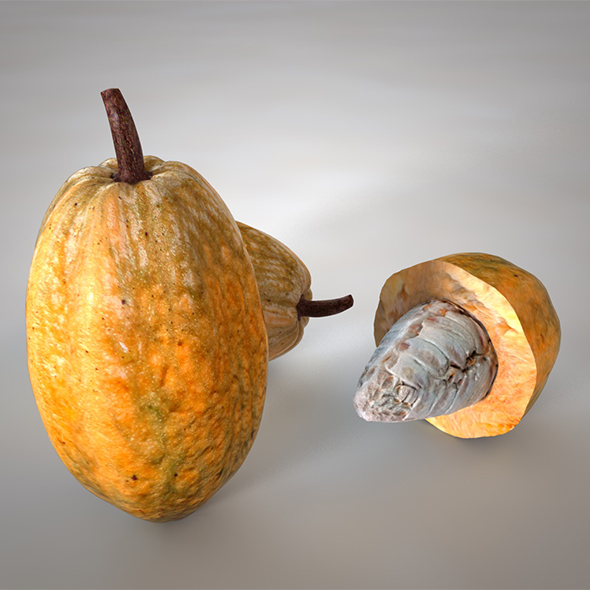 Cocoa fruit 3d - 3Docean 34040665