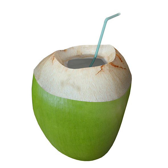 coconut water sliced - 3Docean 34040720