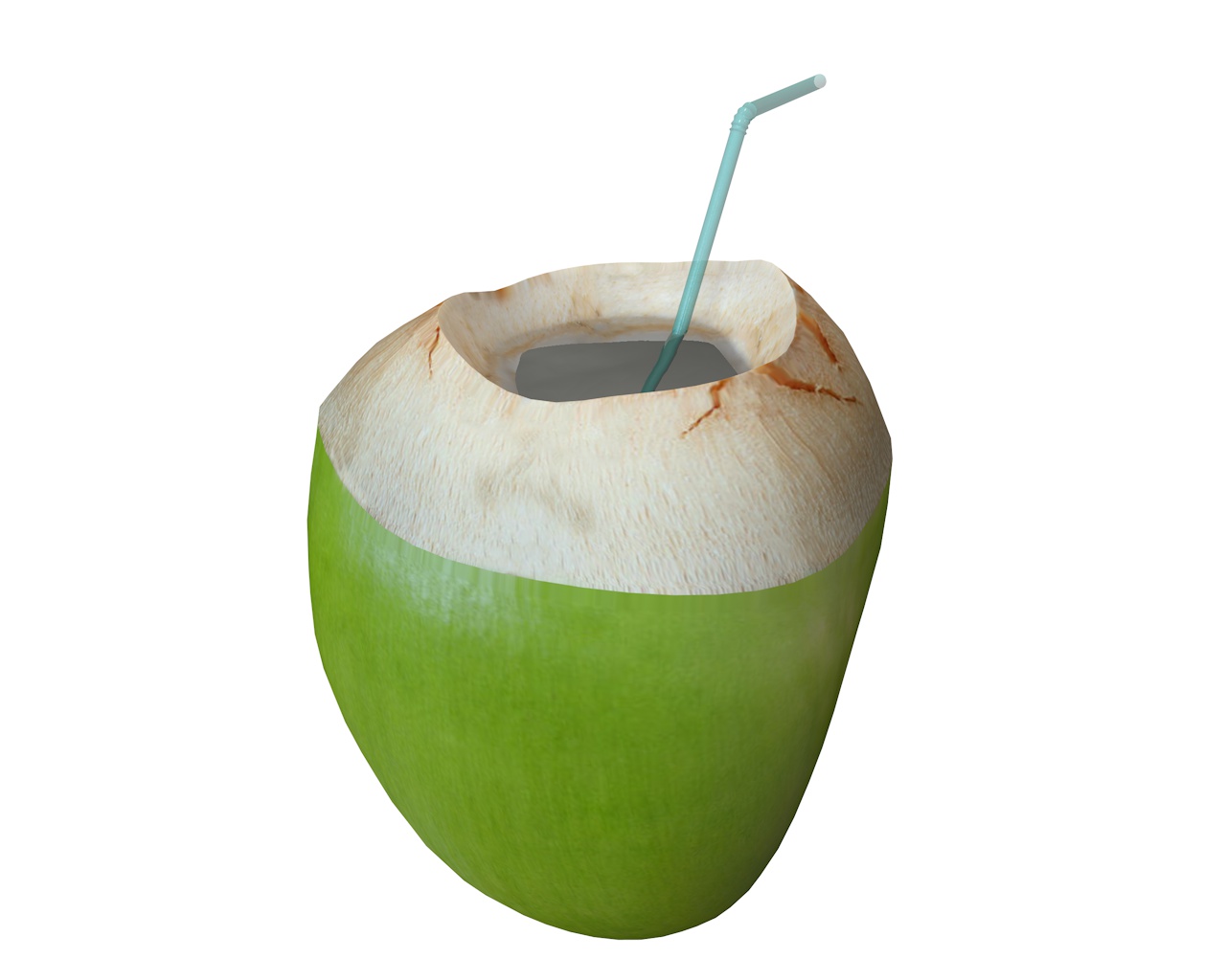 coconut water sliced 3d model by TurboCG | 3DOcean