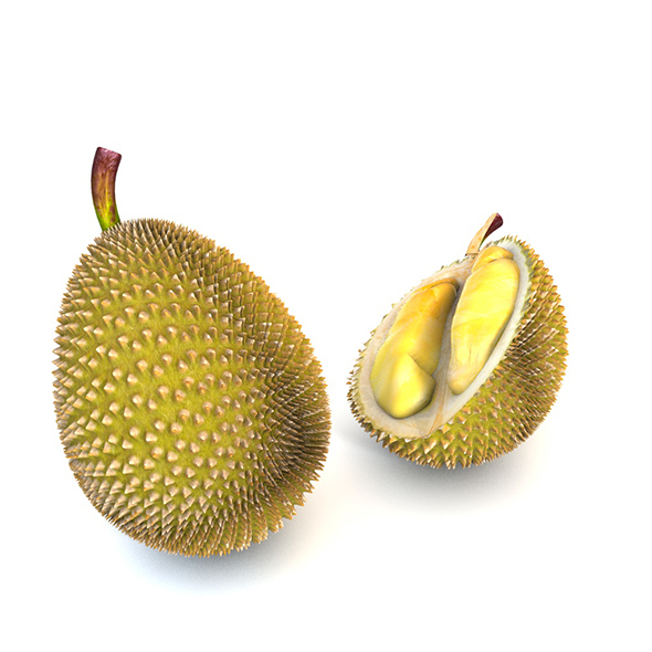 Durian Fruit 3d - 3Docean 34041514