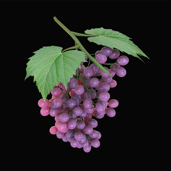 Grapes 3d model - 3Docean 34041668