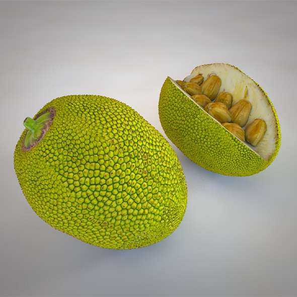 Jack Fruit 3d - 3Docean 34044061