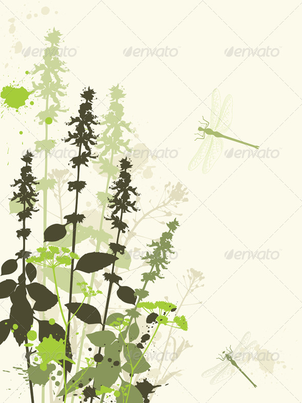 Green Wildflowers - Flowers & Plants Nature