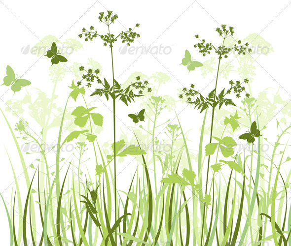 Meadow with Wildflowers - Flowers & Plants Nature