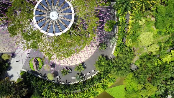 Aerial Fly-Over View of Supertree Grove, Gardens by the Bay, Singapore ...