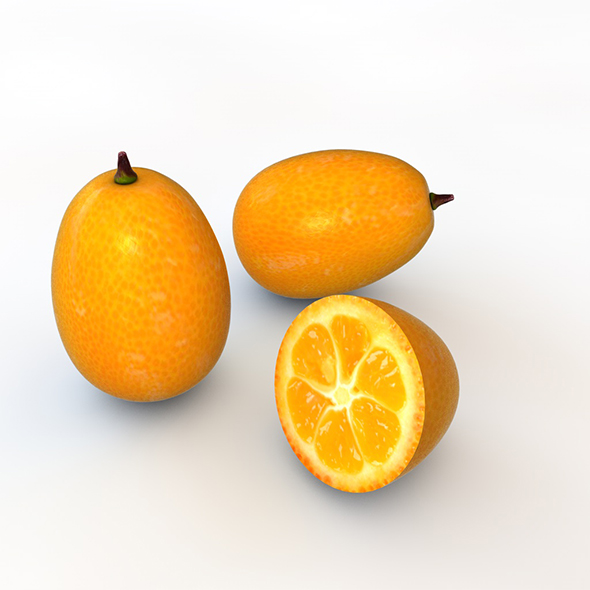 Kumquats 3d model - 3Docean 34051408