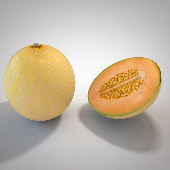 Melon 3d model - 3Docean 34052648