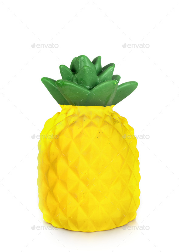 dog pineapple toy