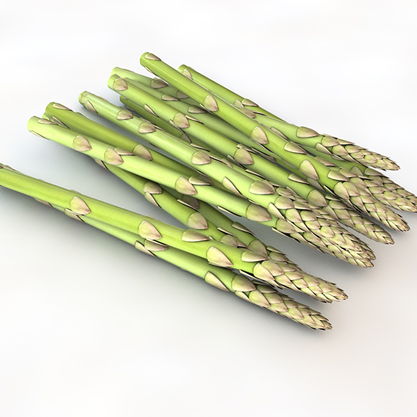 Asparagus 3d model - 3Docean 34062450
