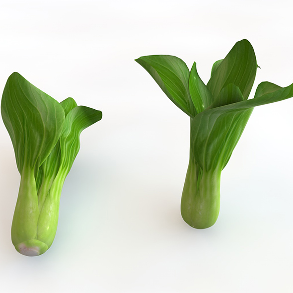 Bok Choy 3d - 3Docean 34062985