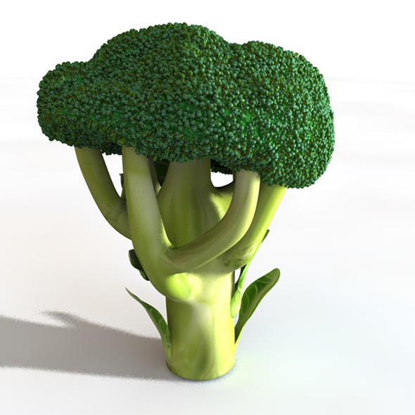 Broccoli 3d model - 3Docean 34063072